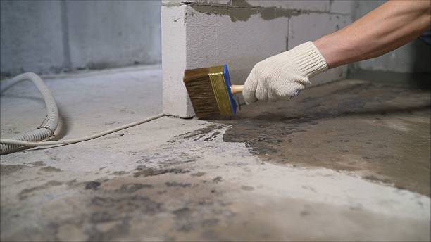 SJ Waterproofing Pros Crawl Space Encapsulation coverage map for Edgewater, NJ and surrounding area